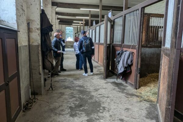 Haras du Pin 1806 (1)